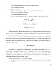 Business plan: windows shading "Shadow" 4 puslapis