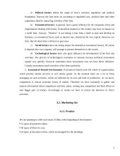 Business plan: windows shading "Shadow" 5 puslapis