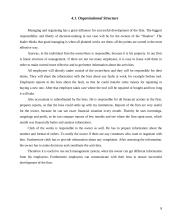 Business plan: windows shading "Shadow" 8 puslapis