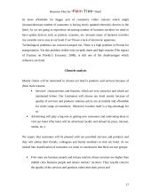 Businnes plan: hotel "Palm Tree" 17 puslapis