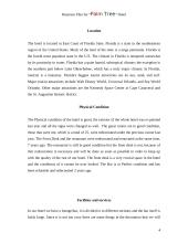 Businnes plan: hotel "Palm Tree" 4 puslapis