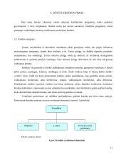 Būsto kreditas 10 puslapis