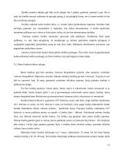 Būsto kreditas 11 puslapis