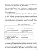 Būsto kreditas 12 puslapis