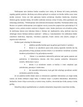 Būsto kreditas 13 puslapis