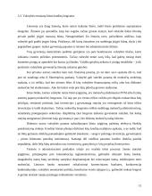 Būsto kreditas 14 puslapis