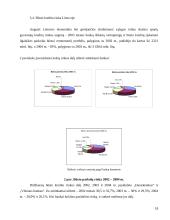 Būsto kreditas 17 puslapis