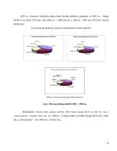 Būsto kreditas 18 puslapis