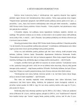 Būsto kreditas 20 puslapis