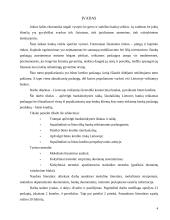 Būsto kreditas 3 puslapis