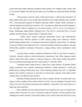 Būsto kreditas 5 puslapis