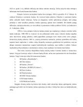 Būsto kreditas 6 puslapis