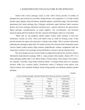 Būsto kreditas 7 puslapis