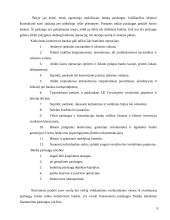 Būsto kreditas 8 puslapis