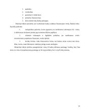 Būsto kreditas 9 puslapis