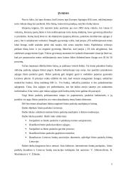 Būsto paskolų kitimas ir naudojimas Lietuvoje 5 puslapis