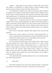 Būsto paskolų kitimas ir naudojimas Lietuvoje 8 puslapis