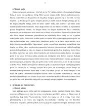 Būties problema filosofijoje su pagrindinėmis filosofų mintimis 13 puslapis