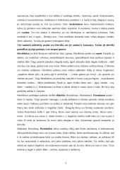 Būtis ir žmogus - filosofinio pažinimo objektas 3 puslapis