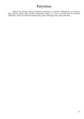 Buto remontas 13 puslapis