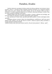 Buto remontas 14 puslapis