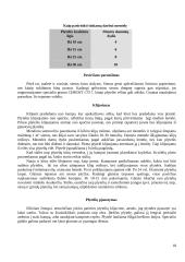 Buto remontas 18 puslapis