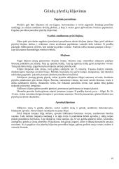 Buto remontas 19 puslapis