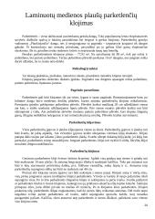 Buto remontas 20 puslapis