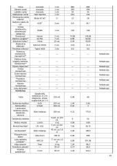 Buto remontas 10 puslapis