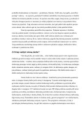 Ch. Argyris mokslinės idėjos ir jų taikymas šiuolaikinėse organizacijose 19 puslapis