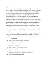 Ch. Argyris mokslinės idėjos ir jų taikymas šiuolaikinėse organizacijose 3 puslapis