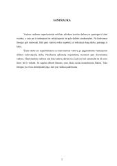 Charizmatiniai vadovai (siekiantys pokyčių) 2 puslapis