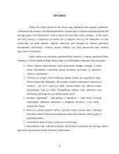 Charizmatiniai vadovai (siekiantys pokyčių) 15 puslapis