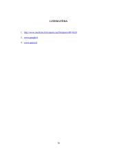 Charizmatiniai vadovai (siekiantys pokyčių) 16 puslapis