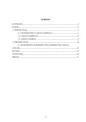 Charizmatiniai vadovai (siekiantys pokyčių) 3 puslapis