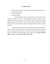 Charizmatiniai vadovai (siekiantys pokyčių) 9 puslapis