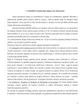 Cementbetonio danga 2 puslapis