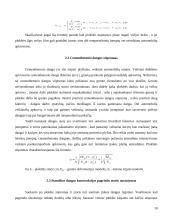 Cementbetonio danga 9 puslapis