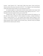 Cementbetonio danga 10 puslapis