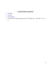 Cheminės padėties įvertinimo metodika 11 puslapis