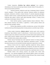 Cheminės padėties įvertinimo metodika 7 puslapis