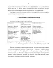 Centrinio ir komercinių bankų tikslai ir funkcijos 7 puslapis