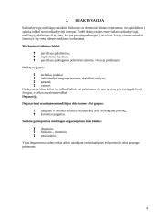 Civilinės saugos tikslas 4 puslapis