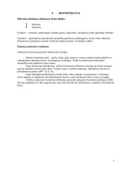 Civilinės saugos tikslas 5 puslapis