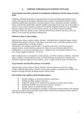 Civilinės saugos tikslas 7 puslapis