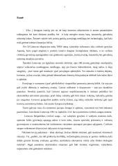 Civilinės saugos ir gelbėjimo sistemos struktūra 2 puslapis