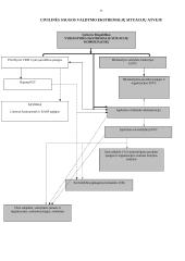 Civilinės saugos ir gelbėjimo sistemos struktūra 11 puslapis