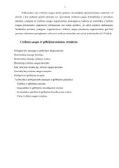 Civilinės saugos ir gelbėjimo sistemos struktūra 5 puslapis