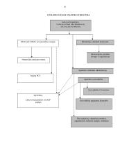 Civilinės saugos ir gelbėjimo sistemos struktūra 10 puslapis