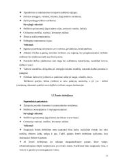 Civilinės saugos veiksmų ir priemonių planavimas ekstremalių situacijų atveju 11 puslapis